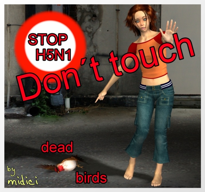 h5n1.jpg